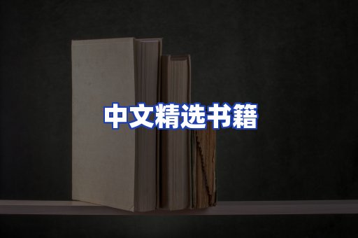 中文精选书籍